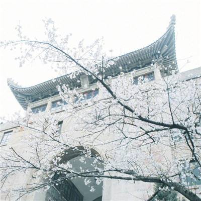 阴阳师妖怪小班手游下载